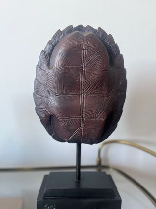 Escultura Tortuga Marina Vintage Grande