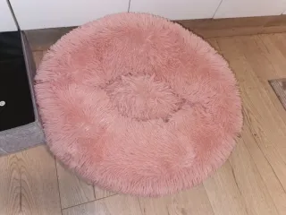 Lote artículos para mascotas