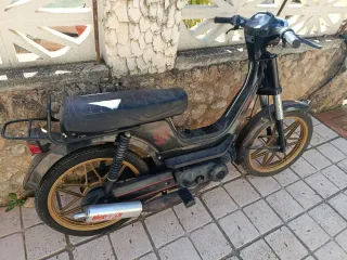 Derbi Variant