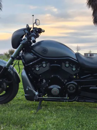 Harley Davidson Night Rod del año 2008  60.043 km