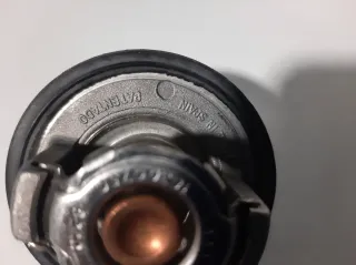Termostato Coche PSA Patentado In Spain