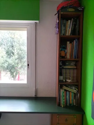 Habitación juvenil madera