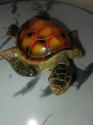 Tortuga decorativa