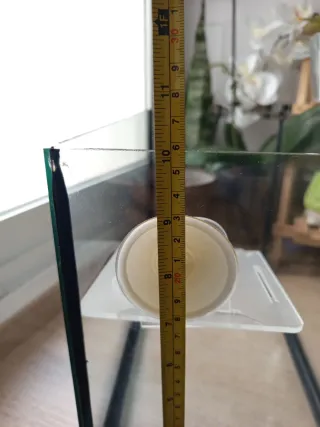 Acuario,  terrario ,peces ,tortuga