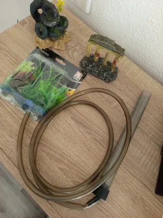 Acuario,  terrario ,peces ,tortuga