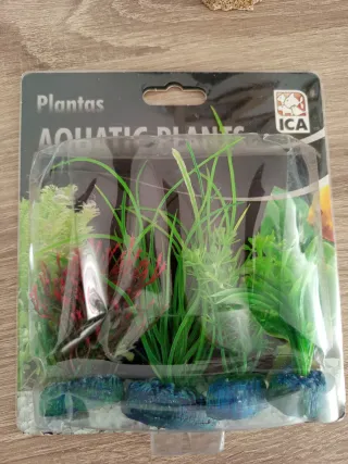 Acuario,  terrario ,peces ,tortuga