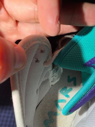 Jordan 270 Modelo Grape talla 42