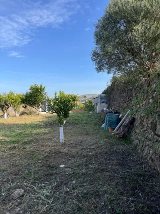 PARCELA RÚSTICA vallada y con árboles frutales