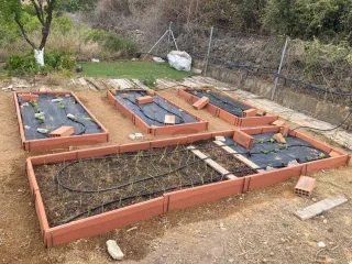 PARCELA RÚSTICA vallada y con árboles frutales