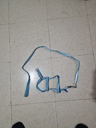 Arnés y Correa para Perro Azul