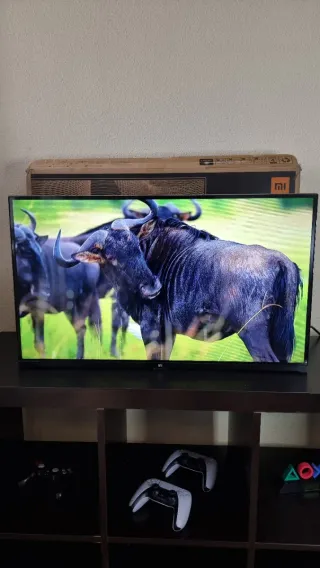 Xiaomi 32" Smart TV P Series Nueva