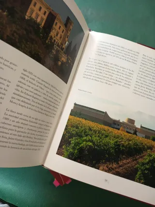 Navarra, la cultura del vino