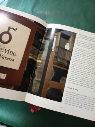 Navarra, la cultura del vino