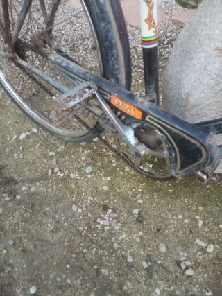 Bicicleta de varillas Orbea, Dal