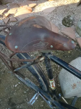 Bicicleta de varillas Orbea, Dal