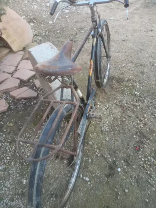Bicicleta de varillas Orbea, Dal