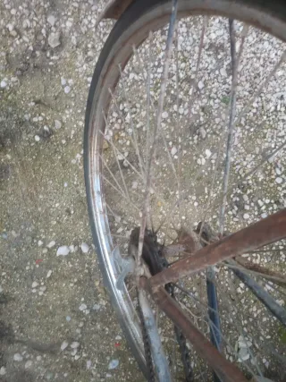 Bicicleta de varillas Orbea, Dal