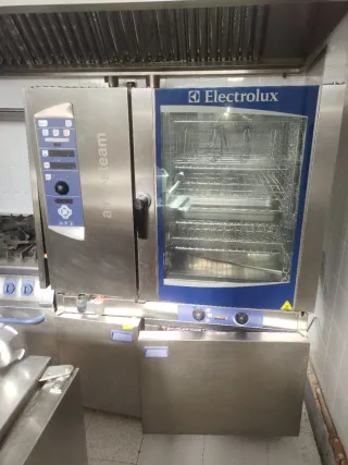 Horno Profesional Electrolux Air-Steam