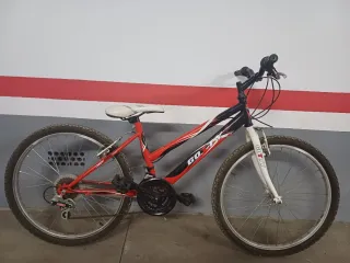 Bicicleta mediana GO-FX