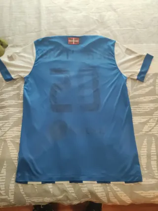 Camiseta Real Sociedad Talla L Nike  de gaztañaga