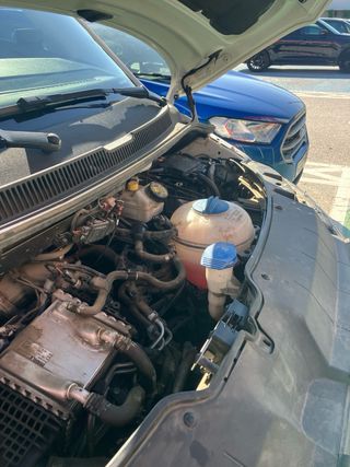 Volkswagen Transporter T6 2021