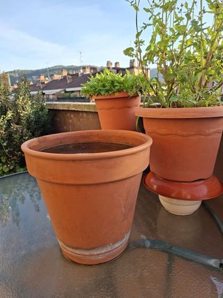 Macetas de terracota y granito grandes.