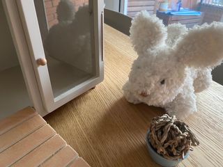 Casita para conejo conejito y accesorios