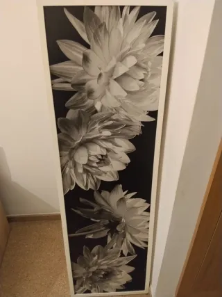 Cuadro Flores Modernista Blanco y Negro