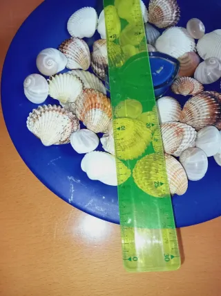 Piatto Blu con Candela a Forma di Pesce e Conchigl