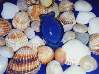Piatto Blu con Candela a Forma di Pesce e Conchigl