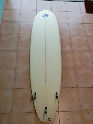 Tabla surf evolutiva. No negociable.