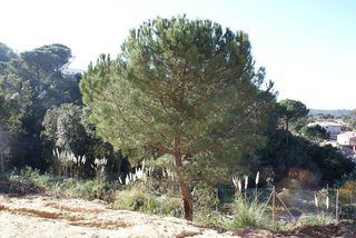 Solar en venta en Urbanitzacions en Lloret de Mar
