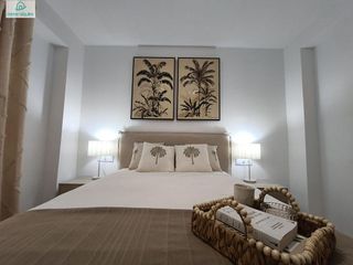 Piso en alquiler en Centro en San Vicente del Raspeig/Sant Vicent del Raspeig