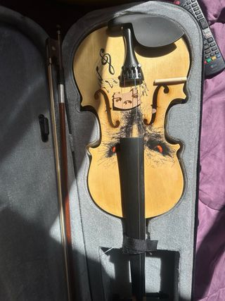 Violín Acústico Profesional con Estuche