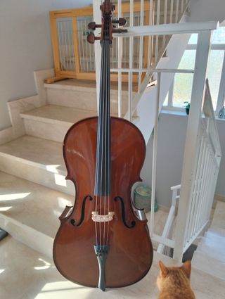 Violonchelo Stentor Student I 3/4