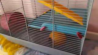 Jaula Hámster 3 Niveles usada solo 1 semana