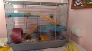 Jaula Hámster 3 Niveles usada solo 1 semana