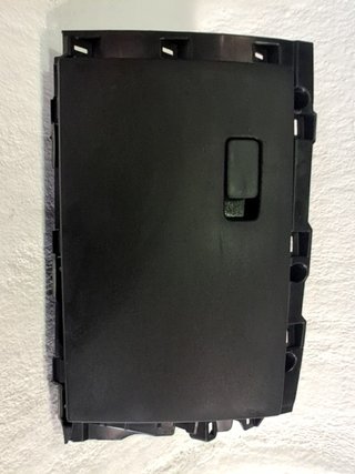 GUANTERA FORD MUSTANG MACH-E 769737