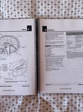 Netter cuaderno de anatomia para colorear