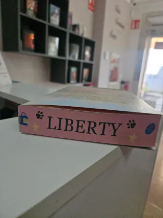 Liberty Haven 1. Los diez mandamientos de Casey...