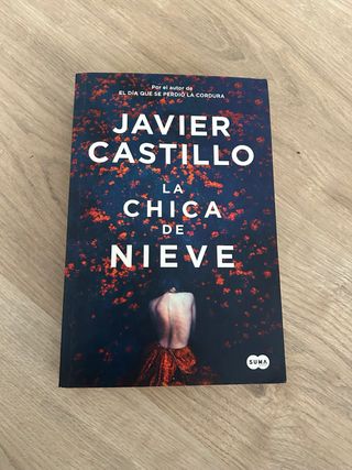 Novela Javier Castillo