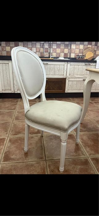 6 unità, Sedia Medaglione Imbottitura Legno Bianco