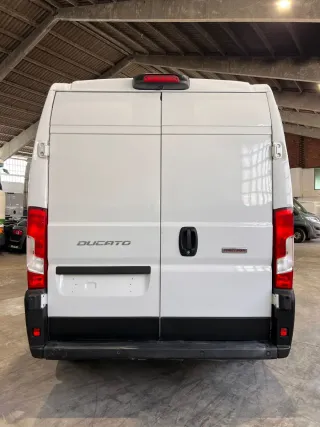 FIAT Ducato 2019