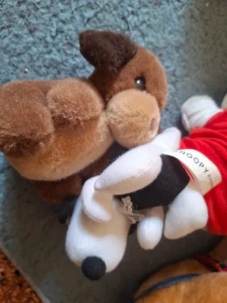Peluche cane San Bernardo e altri Totale 5