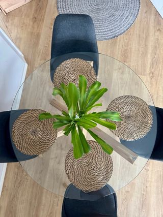 Set Mesa redonda cristal ø119 cm + 4 sillas madera