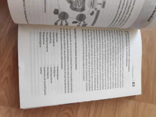 Pon a Tono Tu Microbiota