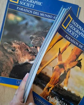 Lote de fascículos de national geographic