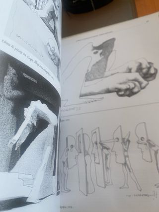 Libro L'univers Pla-Narbona