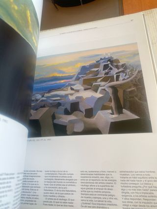 Libro L'univers Pla-Narbona