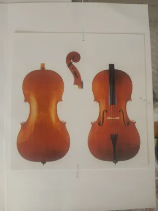 Violonchelo de luthier